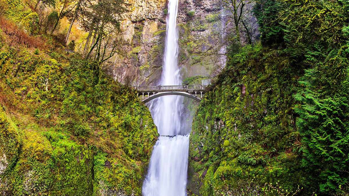 Wide shot of Multnomah Falls and the bridge that goes over it with lush greenery on either side in Portland, Oregon, USA